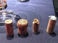wine (51)